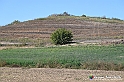 VBS_5286 - La solita strada... il grano da crescere, i campi da arare...